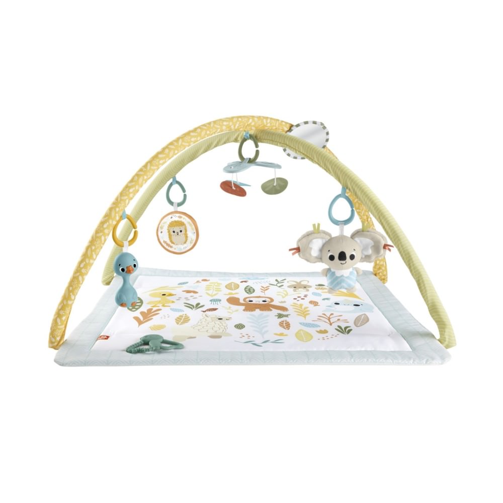 Salteluta de activitati fisher-price simply senses