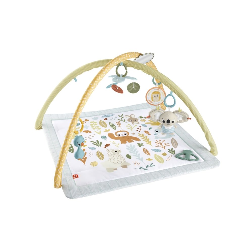 Salteluta de activitati fisher-price simply senses
