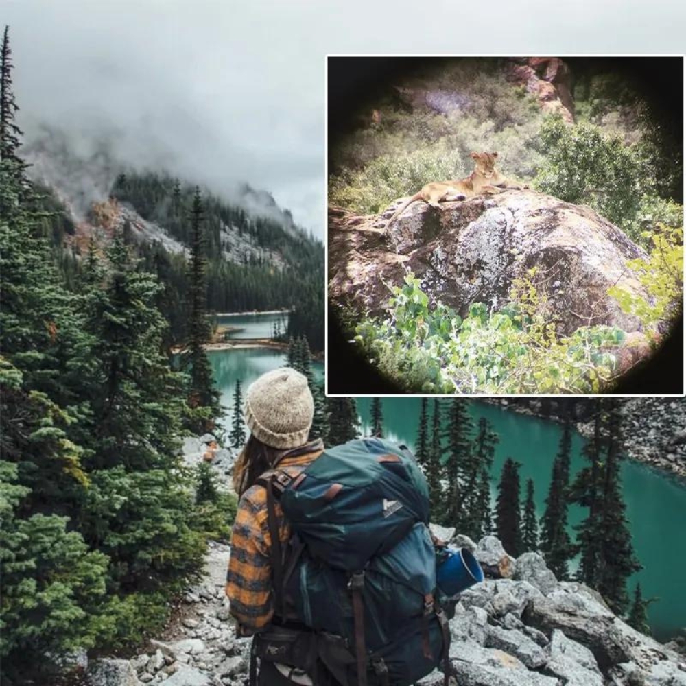 Binoclu 20x bk7, lentila 50mm, camp vizual 168/2000m, geanta