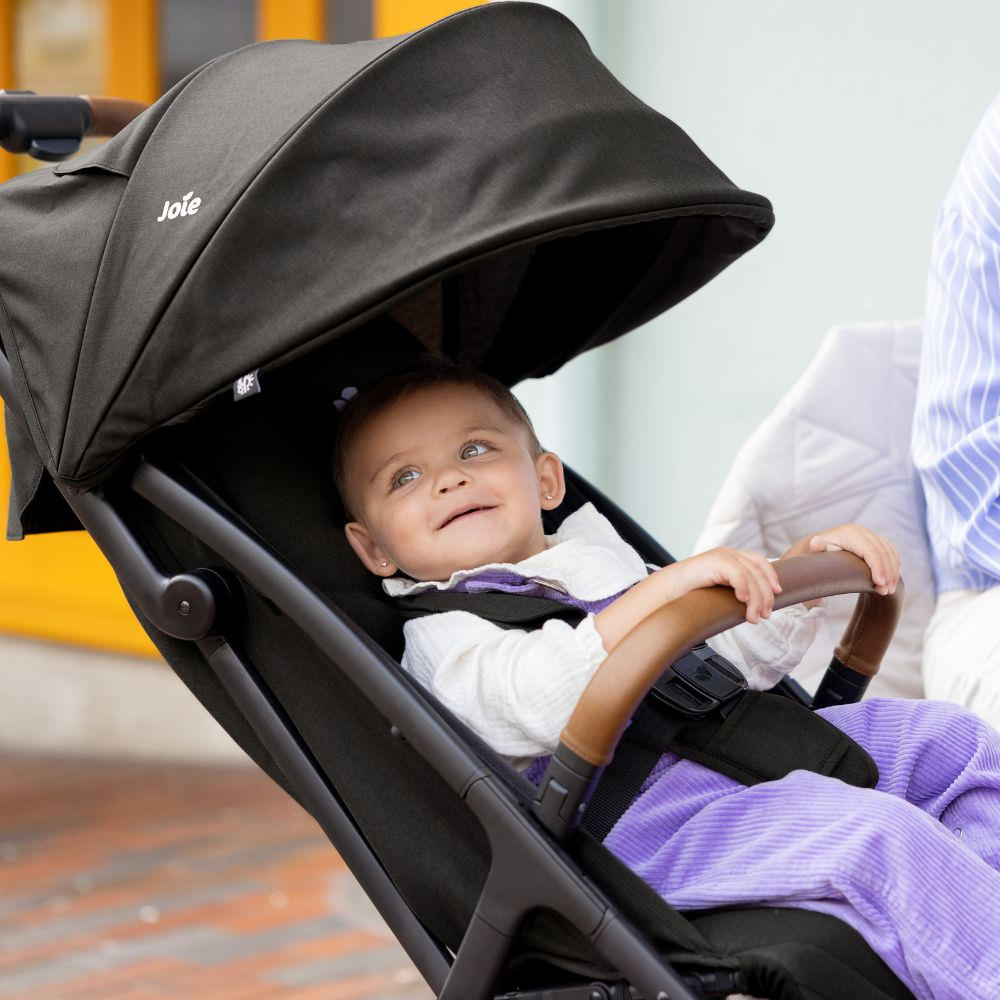 Carucior joie pact pro pebble