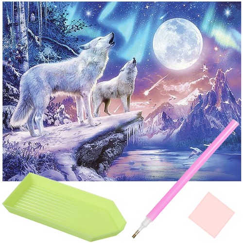 Broderie, pictura, mozaic cu diamante 30 x 40 m2