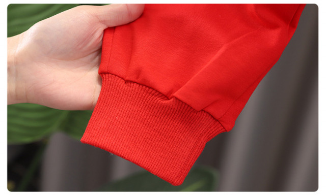 Trening pentru baietei - red teddy (marime disponibila: 6-9 luni (marimea 19