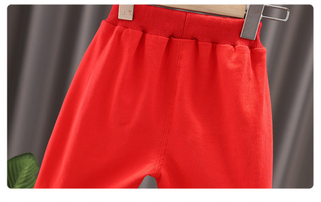 Trening pentru baietei - red teddy (marime disponibila: 6-9 luni (marimea 19