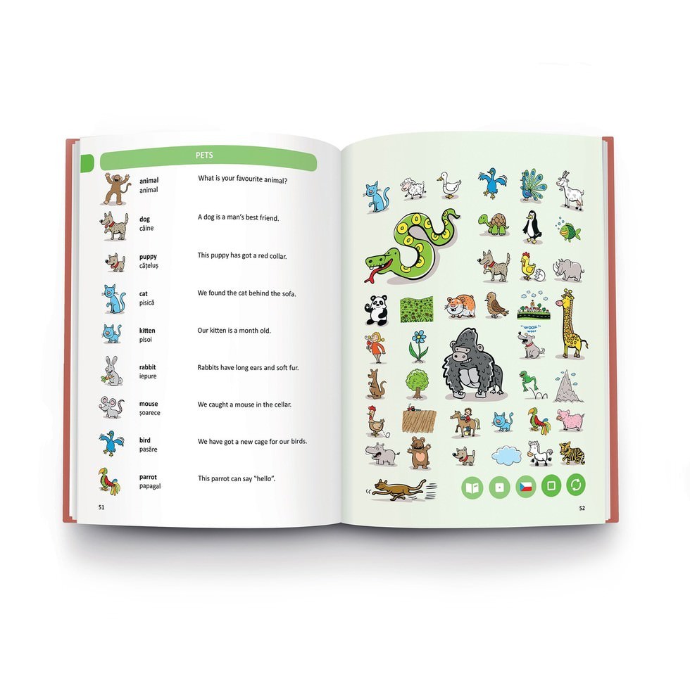 Dictionar roman-englez raspundel istetel