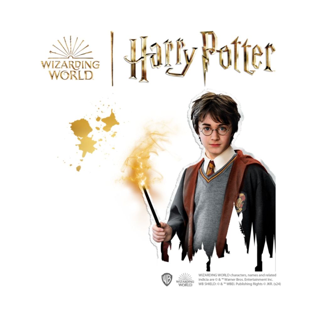 Set creativ bratari magice cu pandantive harry potter