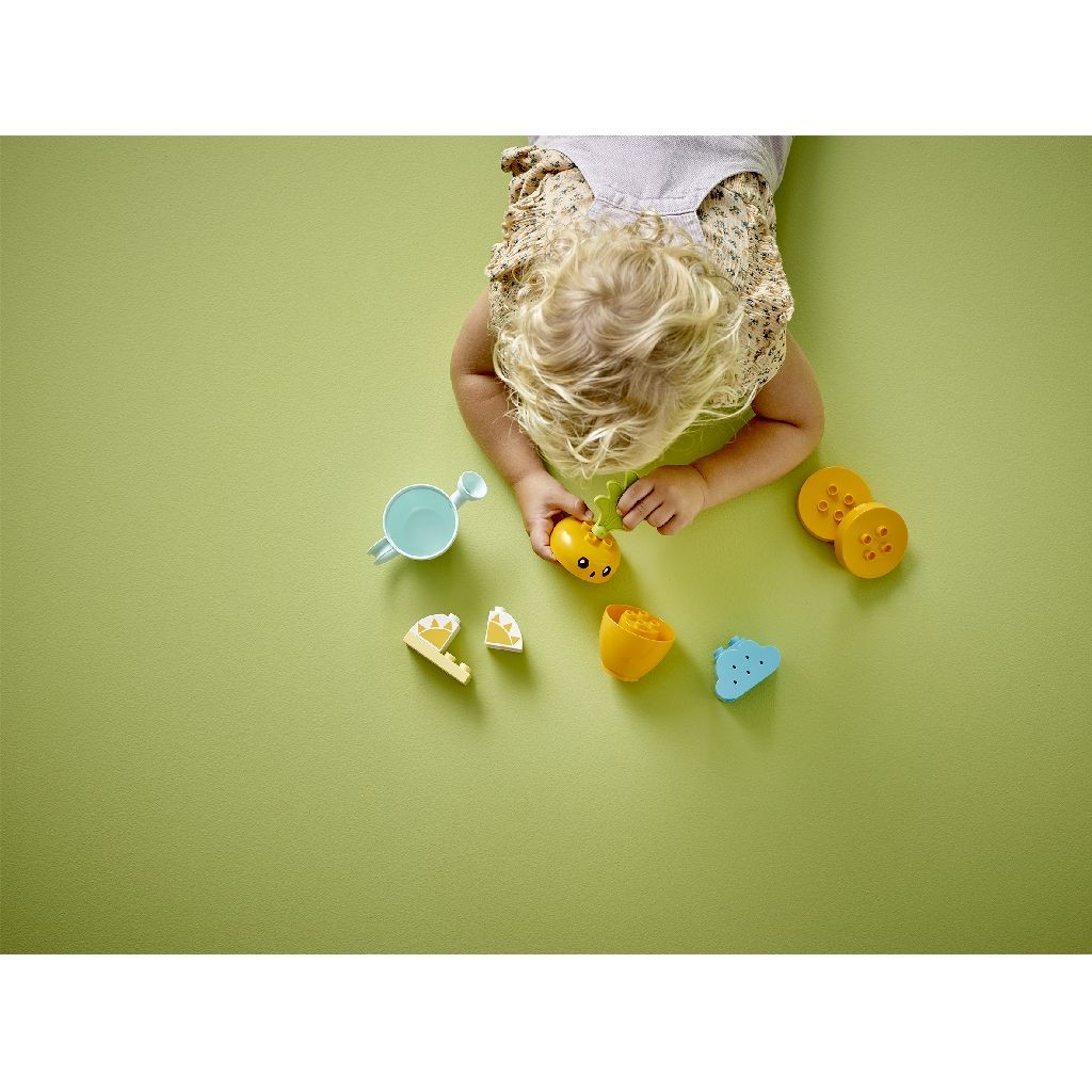 Lego duplo morcov care creste 10981