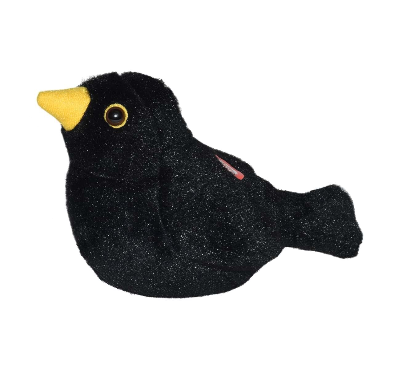 Pasare cu sunet mierla - european blackbird