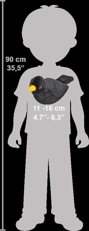 Pasare cu sunet mierla - european blackbird