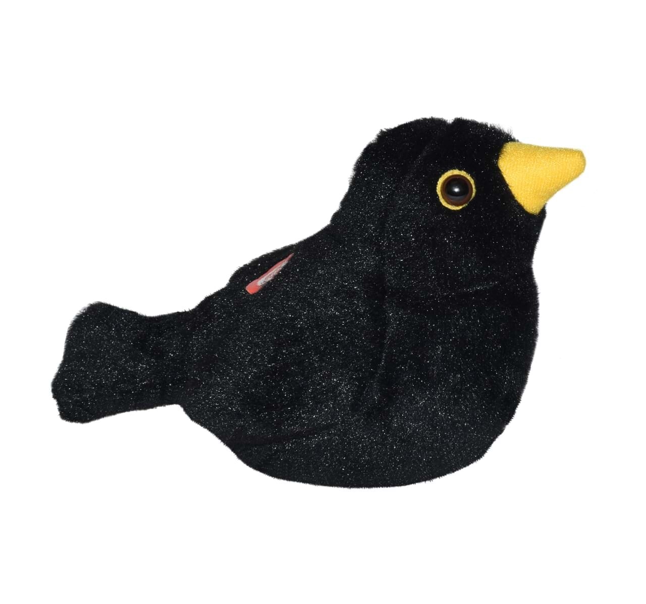 Pasare cu sunet mierla - european blackbird