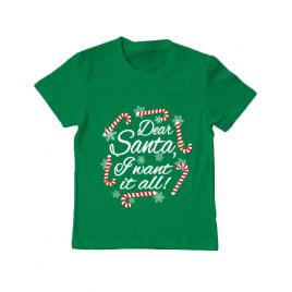 Tricou adler copil dear santa verde mediu