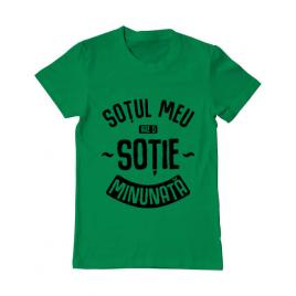 Tricou adler barbat o sotie minunata verde mediu