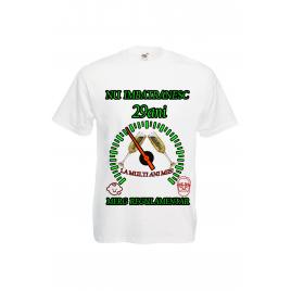 Tricou personalizat Fruit of the loom barbat nu imbatranesc 29 ani alb L