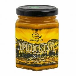 ApiCocktail® COPII - mix apicol pentru imunitate din miere, polen, propolis, laptisor de matca by Dr. Ing. Cornelia Dostetan Abalaru apicultor - 225g