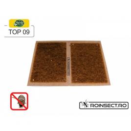 Placa Adeziva Soareci - TOP 09 (2 Buc)