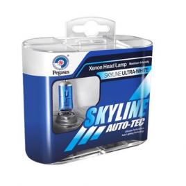 Set 2 becuri auto h7 cu halogen skyline lumina alba 12v 55w pro
