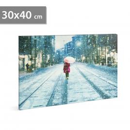 Family pound - tablou cu led - peisaj de iarna, 2 x aa, 30 x 40 cm