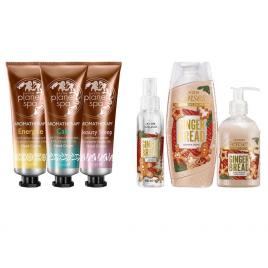 Set 2 buc. : Set de sarbatori Gingerbread si Set pentru maini catifelate Planet Spa