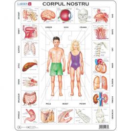 Puzzle corpul nostru 35 piese larsen lrob1-ro initiala