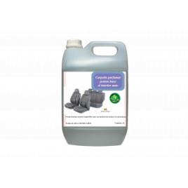 Detergent parfumat pentru huse si interior auto - CARPETIN manual ARCA LUX bidon 5 L