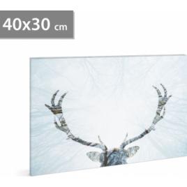 Tablou decorativ LED cu ren - 40 x 30 cm