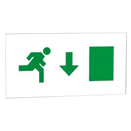 Display sus lampa verso 1
