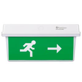 Lampa exit led ip65 30x0.1w display st/dr
