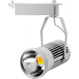 Proiector sina led 20w cw alb tg-3105.0420