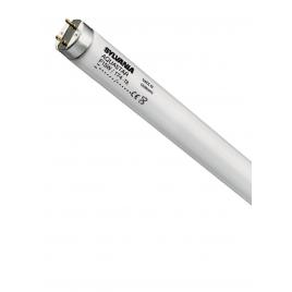 Tub fluorescent aquastar t8 15w