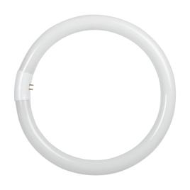 Tub fluorescent circular t9 32w 6400k