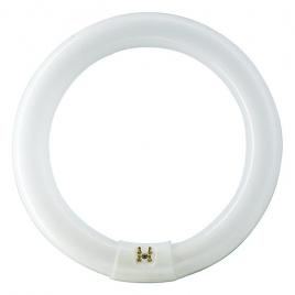 Tub fluorescent circular tl-e 22w 865