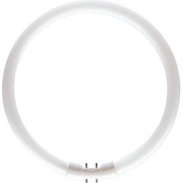 Tub fluorescent circular tl5 22w