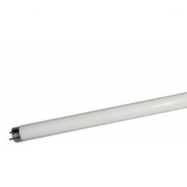 Tub fluorescent t8 18w 2700k