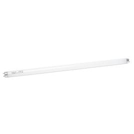 Tub fluorescent t8 18w 6400k