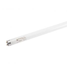 Tub fluorescent t8 58w 93334