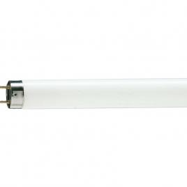 Tub fluorescent tl-d 58w snow white