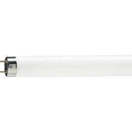 Tub fluorescent tl-d food 18w