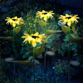 Floare solară - alb cald - 70 cm - 2 buc. /pachet
