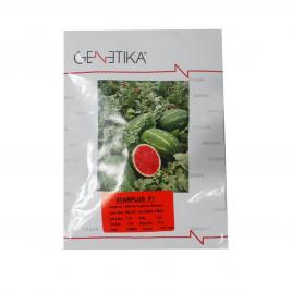 Seminte de pepene rosu starplus f1 500 seminte genetika