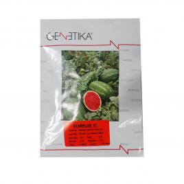 Seminte de pepene rosu starplus f1 1000 seminte genetika