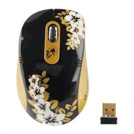 Mouse G-Cube G7MCR-6020SS + Pad
