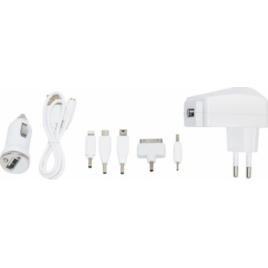 Incarcator auto USB 12/24V 700mA cu cablu 6 in 1