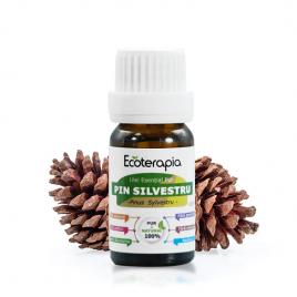 Ulei esențial Pur de Pin Silvestru, 10ml - Ecoterapia