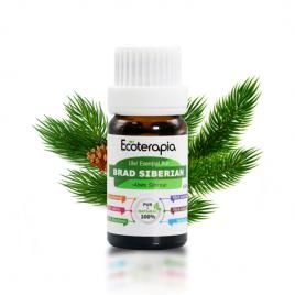 Ulei esențial pur de Brad Siberian 10ml - Ecoterapia