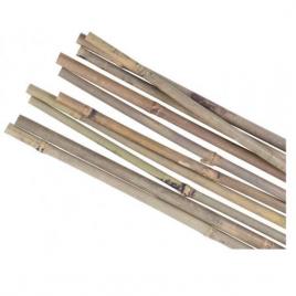 Suport/arac pentru plante rosii bambus set 10 buc 1.6x150 cm strend pro