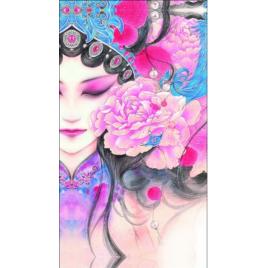 Skin Autocolant 3D Colorful HTC T528T Full-Cover FD-51