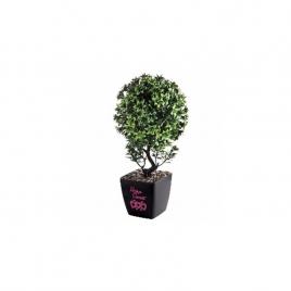 Bonsai decorativ artificial, ghiveci frumos, 35 cm, gln 427y