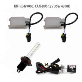 HB4(9006) CAN-BUS 12V 35W 4300K - Carguard