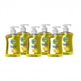 Sapun lichid DETTOL Citrus, 6 buc, 250 ml