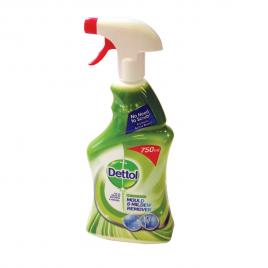 Solutie pentru curatarea mucegaiului si igrasiei Dettol Mould&Mildew Remover 750 ml