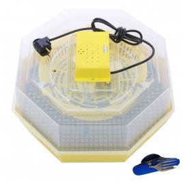 Incubator electric pentru oua, cleo, model 5
